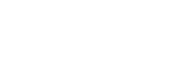 Consultoría SAP Especializada